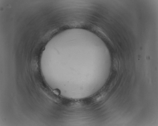 X0000073460259200608251739