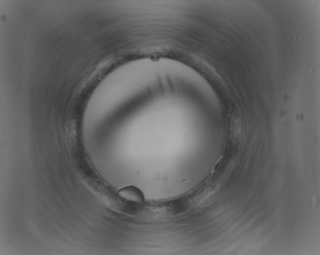 X0000073460260200608251739