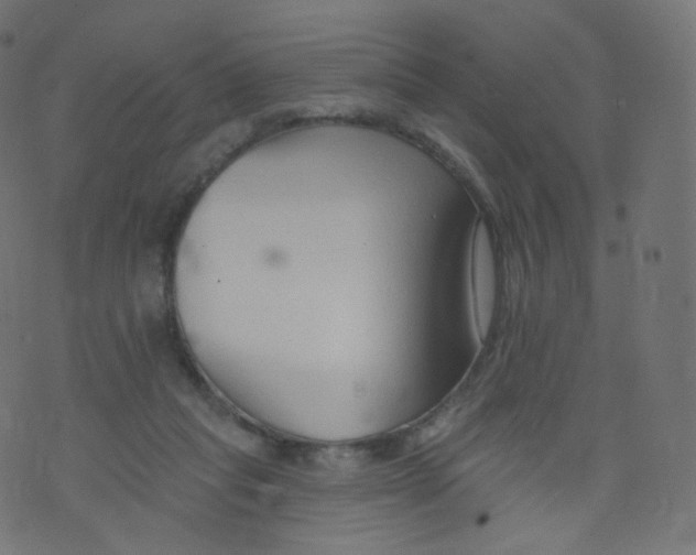 X0000073460261200608251739