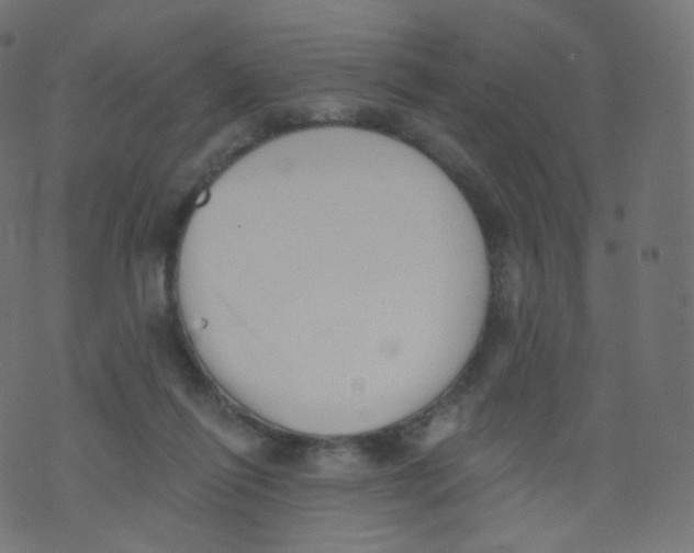 X0000073460262200608251739