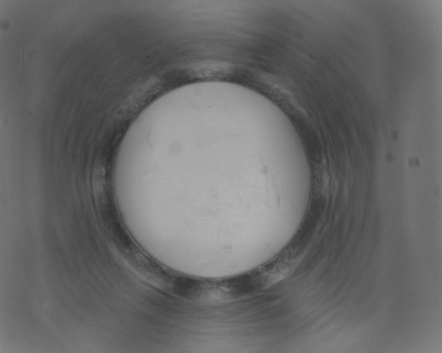 X0000073460263200608251739