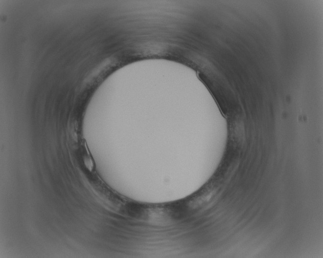 X0000073460264200608251739