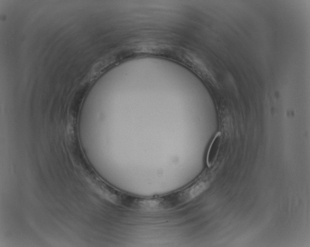 X0000073460265200608251739