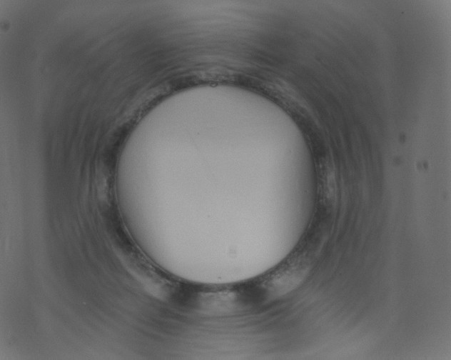 X0000073460266200608251739