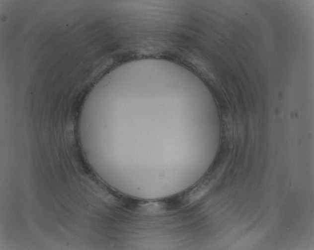 X0000073460269200608251739