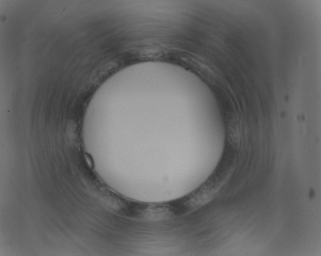 X0000073460270200608251739