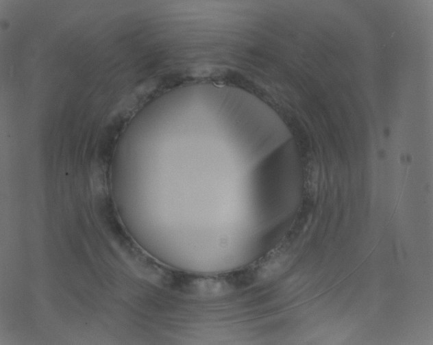 X0000073460272200608251739