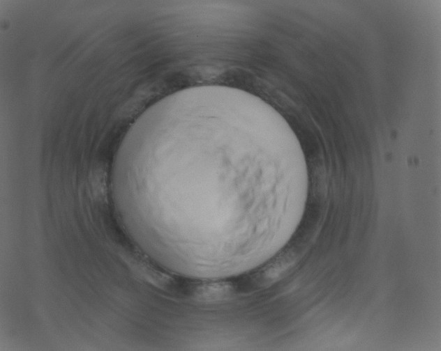 X0000073460274200608251739