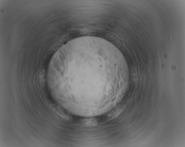 X0000073460275200608251739