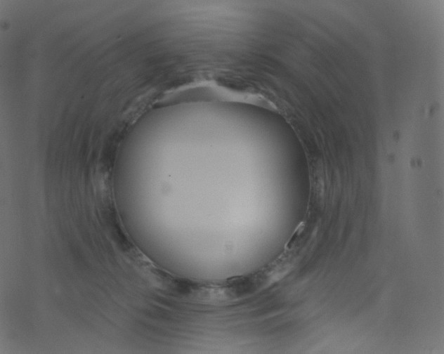 X0000073460276200608251739