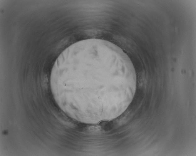 X0000073460279200608251739