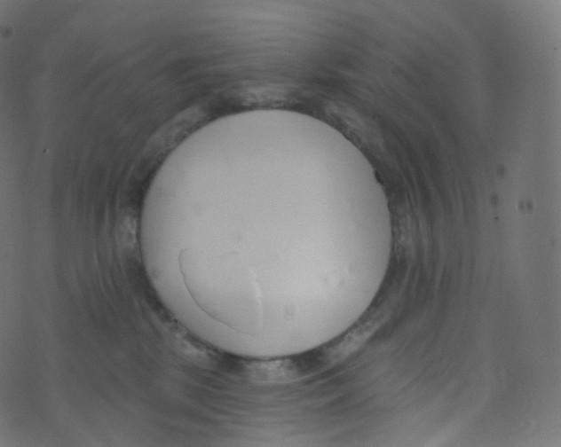 X0000073460281200608251739