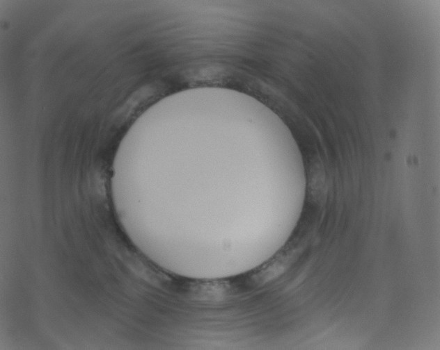 X0000073460282200608251739