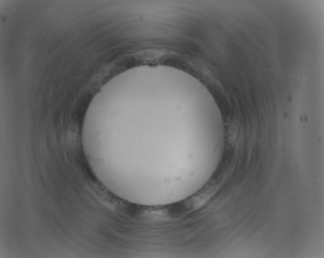 X0000073460283200608251739