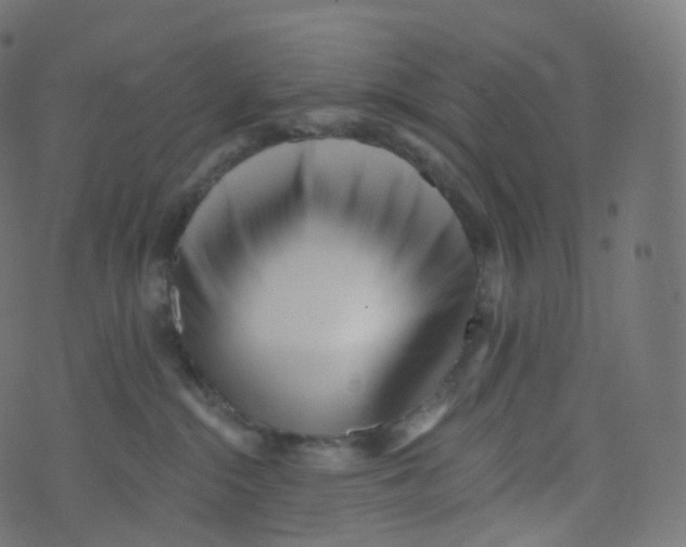 X0000073460284200608251739