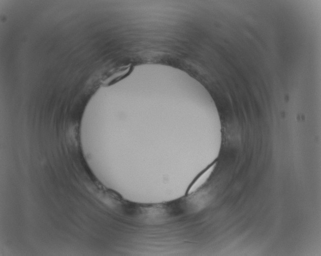 X0000073460286200608251739