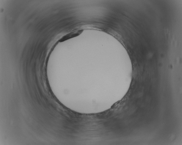 X0000073460289200608251739