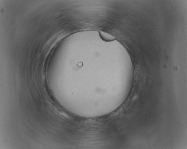 X0000073460290200608251739