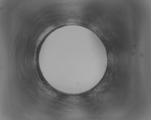 X0000073460292200608251739