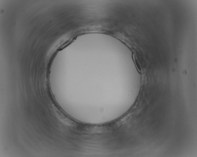 X0000073460293200608251739