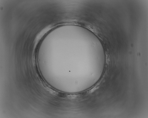 X0000073460294200608251738