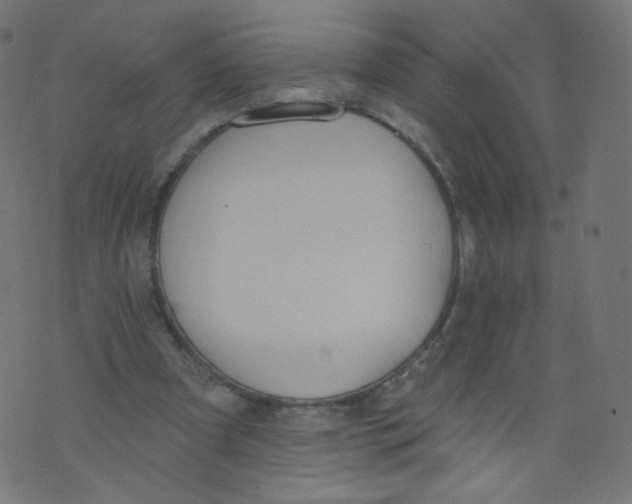 X0000073460297200608251738