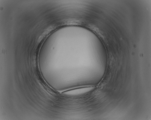 X0000073460299200608251738