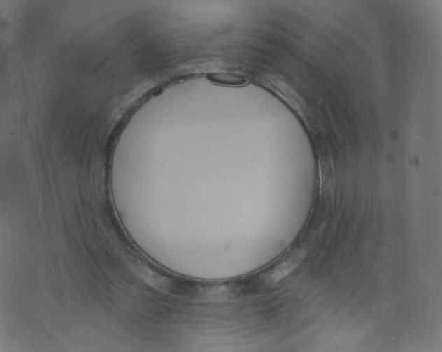 X0000073460301200608251738