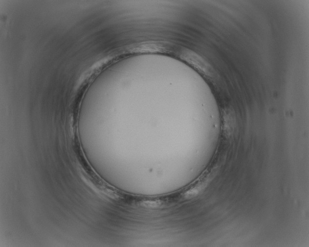 X0000073460302200608251738