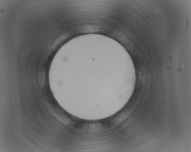 X0000073460304200608251738