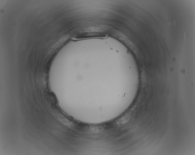 X0000073460305200608251738