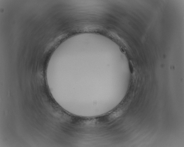 X0000073460306200608251738