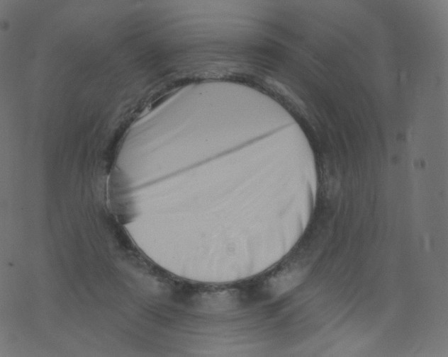 X0000073460307200608251738