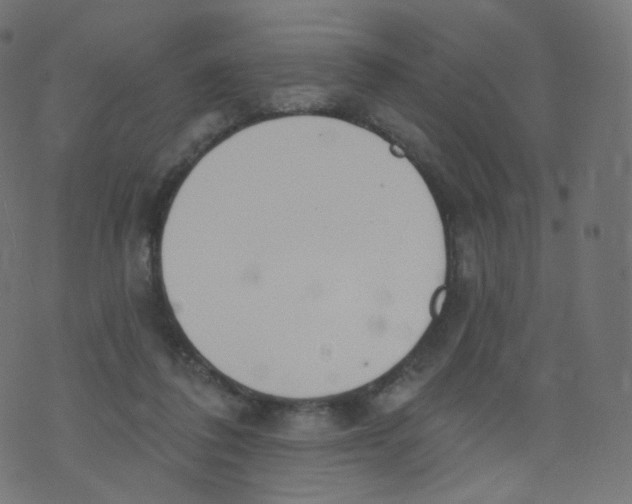 X0000073460308200608251738