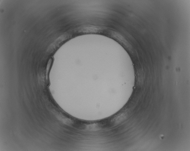 X0000073460309200608251738