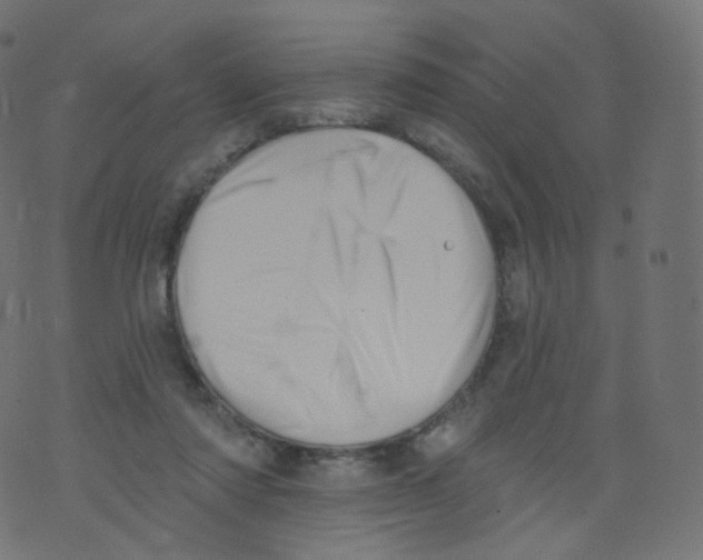 X0000073460310200608251738