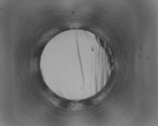 X0000073460311200608251738