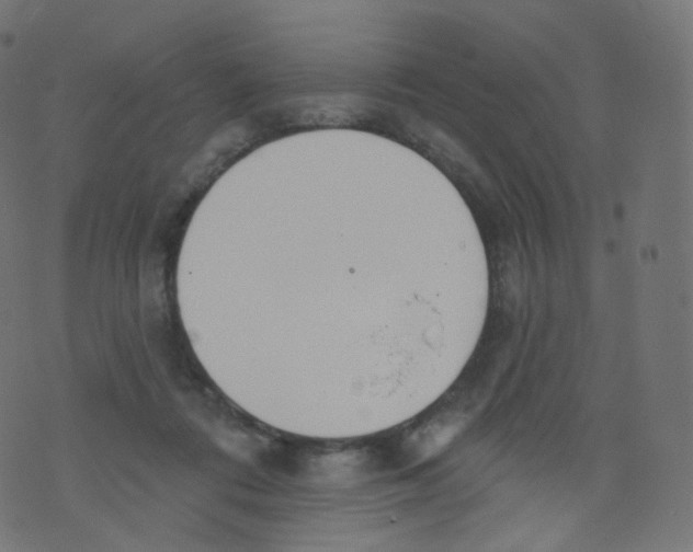 X0000073460312200608251738