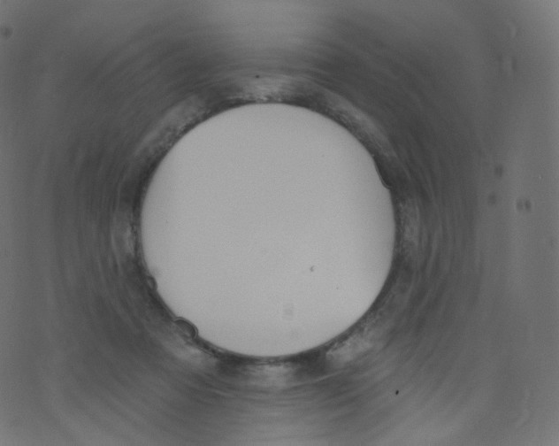 X0000073460313200608251738