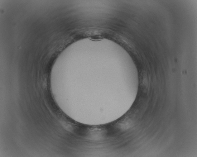 X0000073460315200608251738