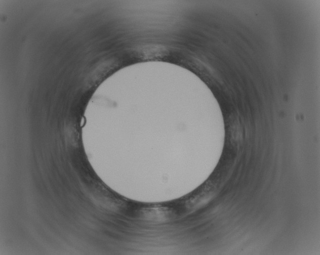 X0000073460316200608251738