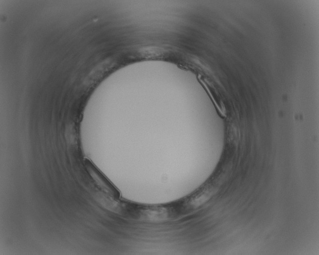 X0000073460317200608251738