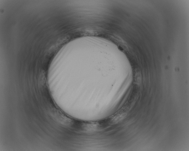 X0000073460318200608251738