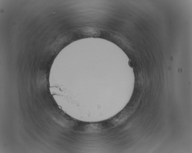 X0000073460320200608251738