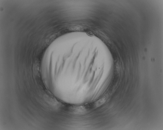 X0000073460322200608251738