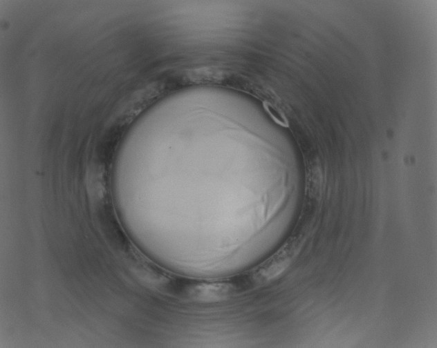 X0000073460323200608251738