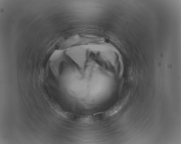 X0000073460325200608251738