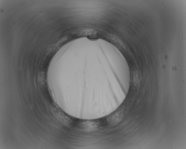 X0000073460326200608251738