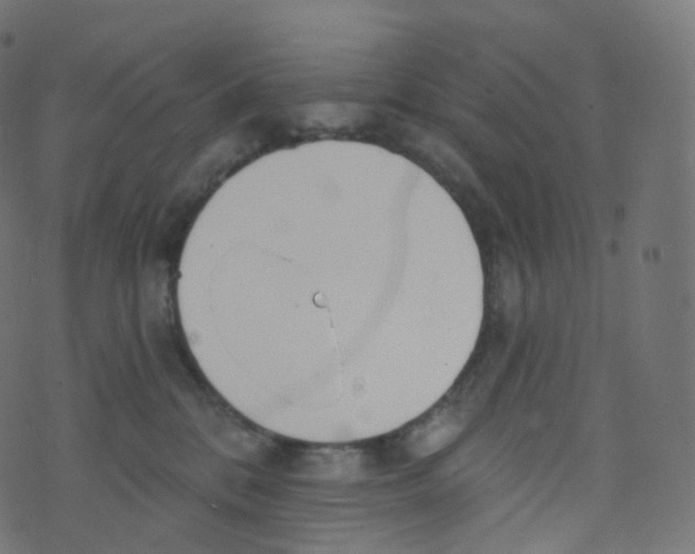 X0000073460328200608251738