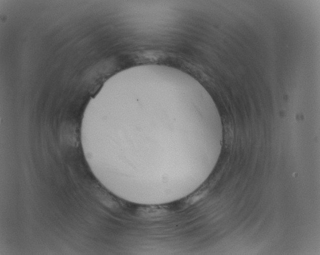 X0000073460331200608251738